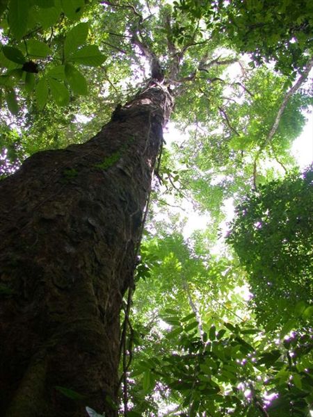Costa Rica vacation packages